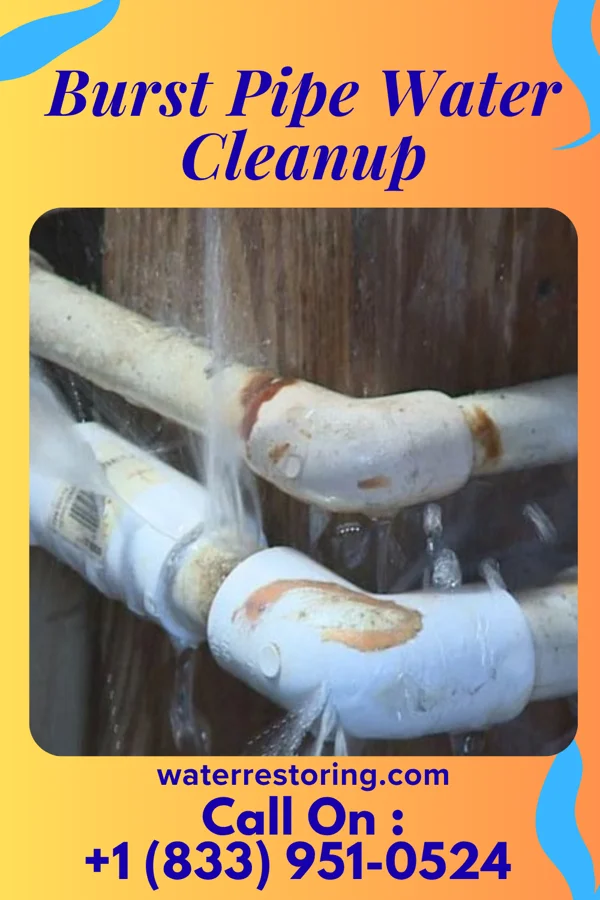 Burst Pipe Water Cleanup in Wallaceton, PA