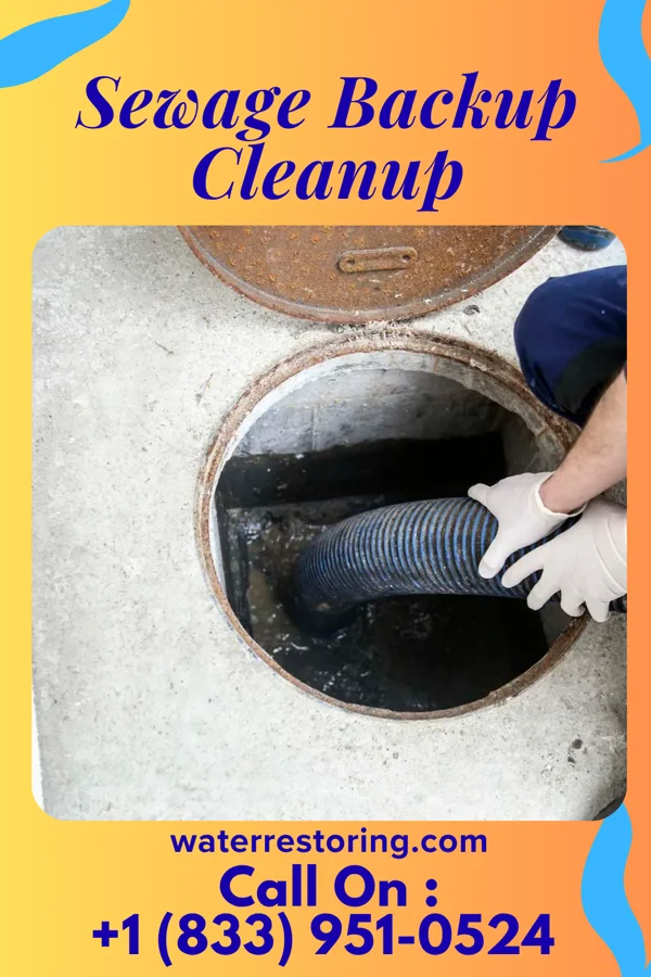 Sewage Backup Cleanup in Wallaceton, PA