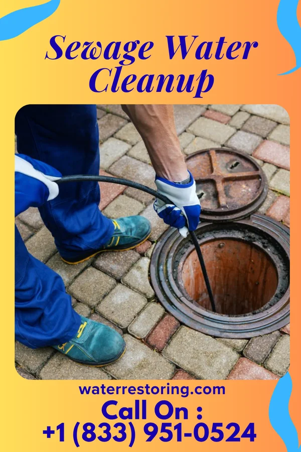 Sewage Water Cleanup in Wallaceton, PA